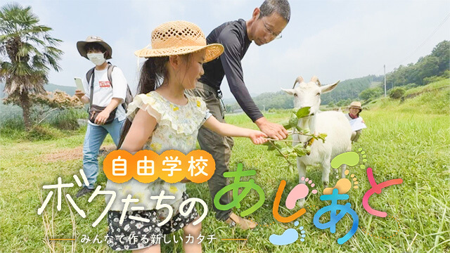 テレメンタリー