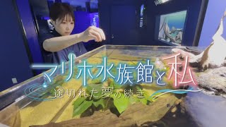 マリホ水族館と私 ～途切れた夢の続き～