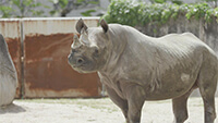 広島市安佐動物公園