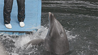 いおワールドかごしま水族館