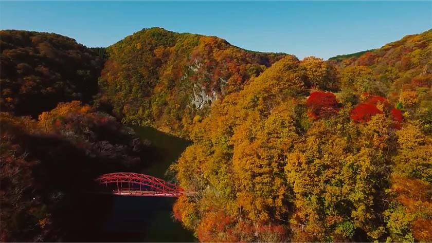 【いっトコ】神石高原町で癒しの秋を満喫