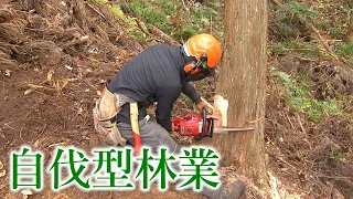 【地球派宣言】「長い年月をかけて豊かな山へ」山と共に生きる小さな林業