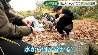 【地球派宣言】「福山大学」キャンパス内で野生動物の生態調査