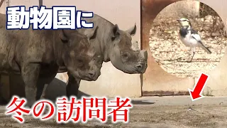 【地球派宣言】「安佐動物公園」動物たちのすぐそばにやってきた小さな訪問者たち