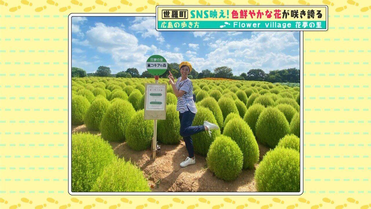 「広島の歩き方」vol.25前編 季節のお花を楽しめるFlower village花夢の里 | 古民家カフェも登場！世羅町から三次市上田町にある平田観光農園を目指します