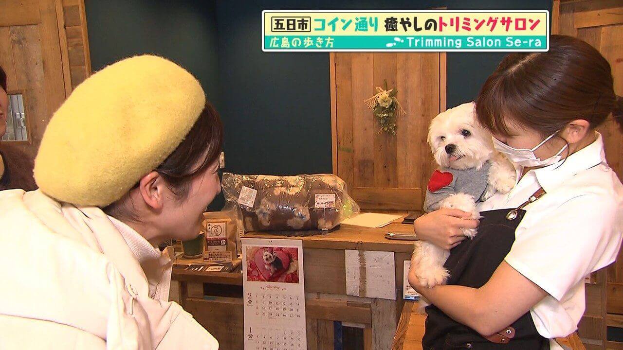 「広島の歩き方」vol.35中編 癒やしのトリミングサロンをご紹介 | 佐伯区五日市のコイン通りを歩きます