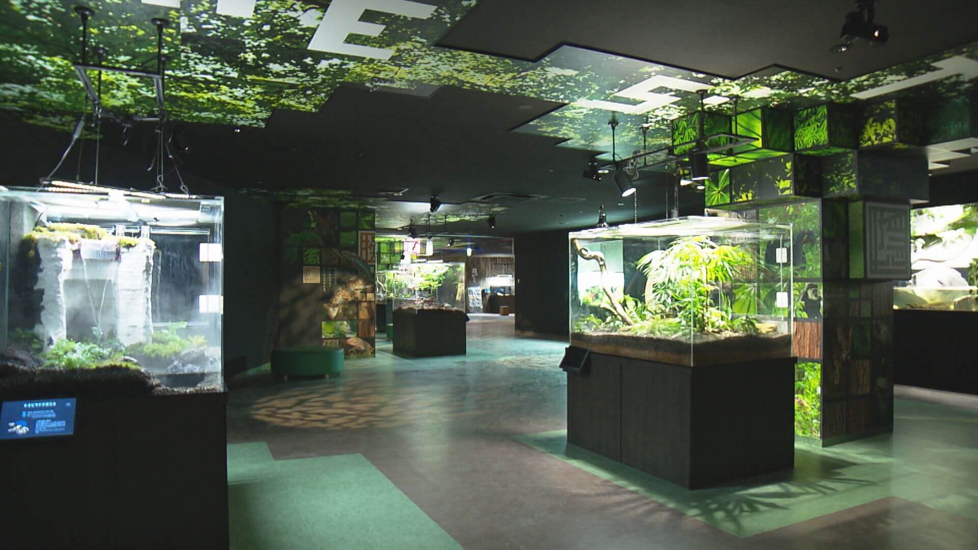 広島もとまち水族館の裏側に潜入！“都市型水族館”ならではの苦労とは？｜地球派宣言