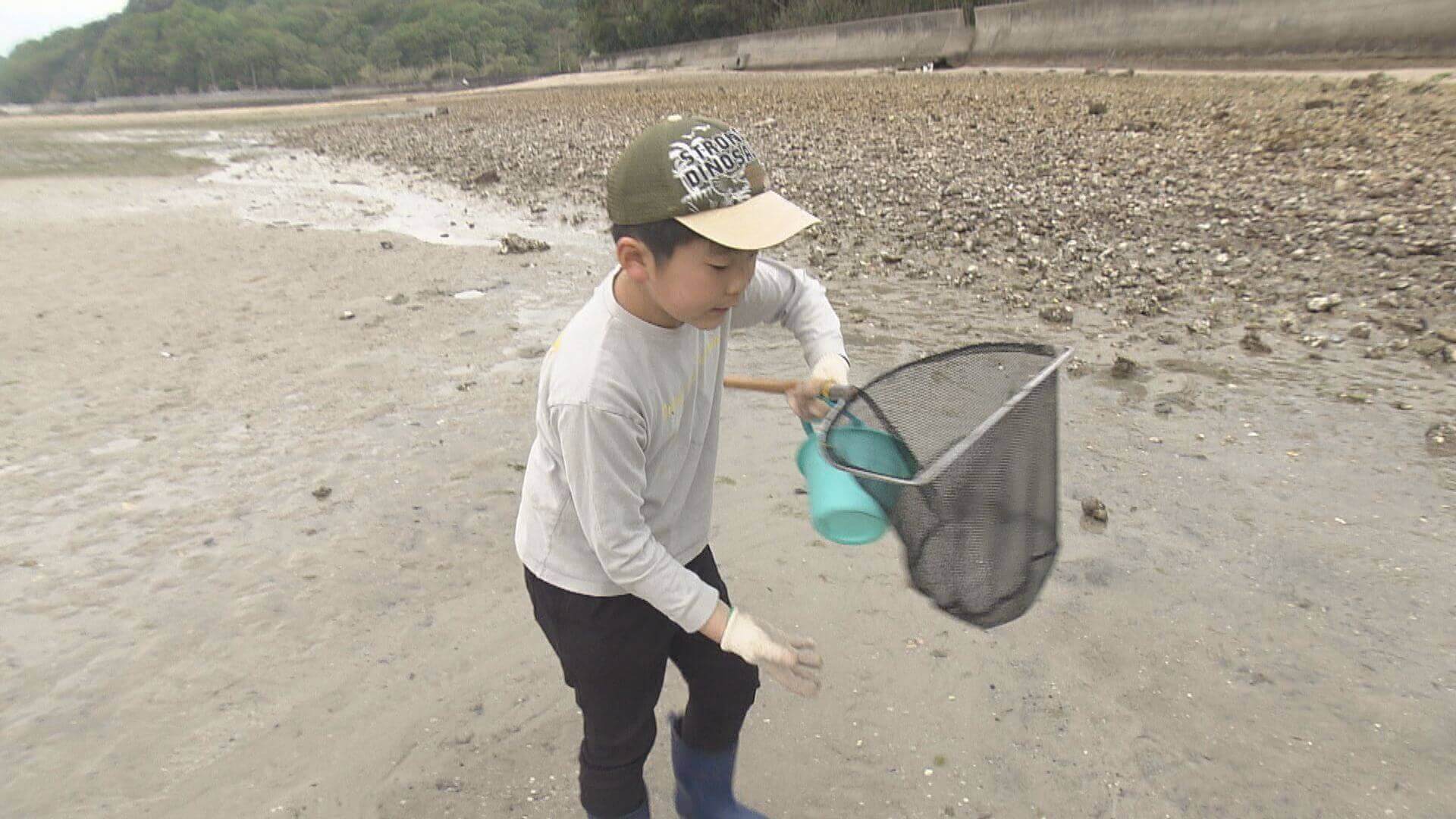【江田島市大柿町で観察会】タイムリミットは2時間　珍しい生き物が｜地球派宣言
