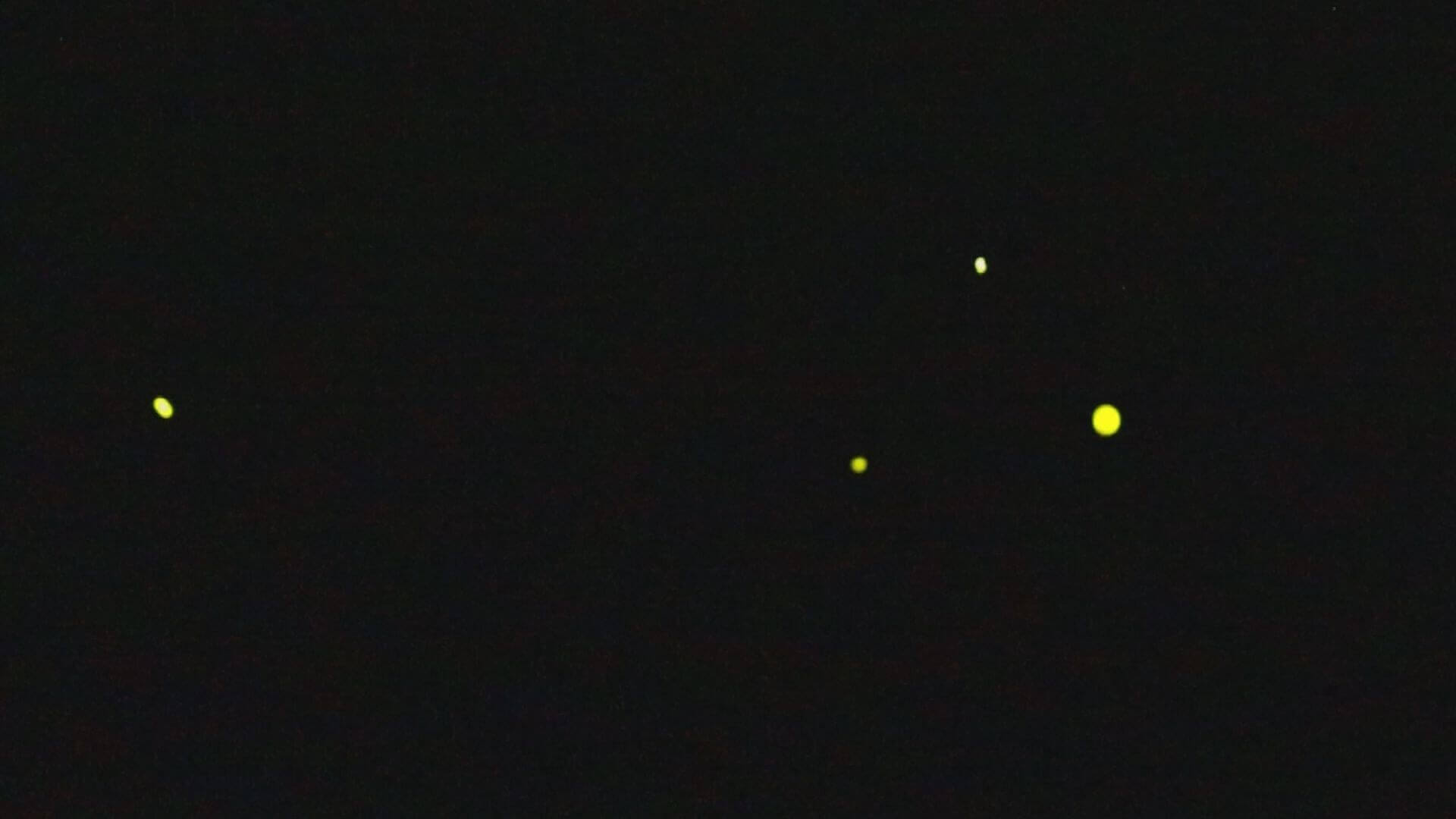 【呉市押込】夜空を彩る“帰ってきたホタル” つながる地域の輪｜地球派宣言