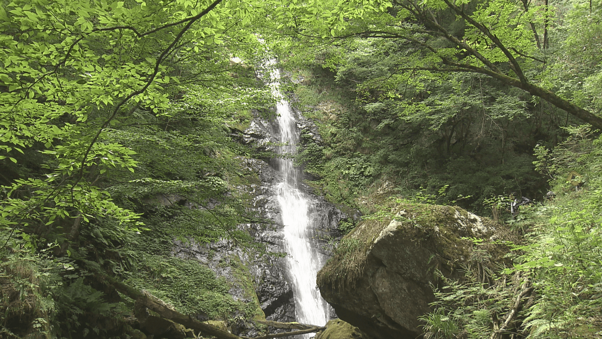 【廿日市市吉和】“滝ハンター”おすすめ「瀬戸の滝」の絶景｜地球派宣言