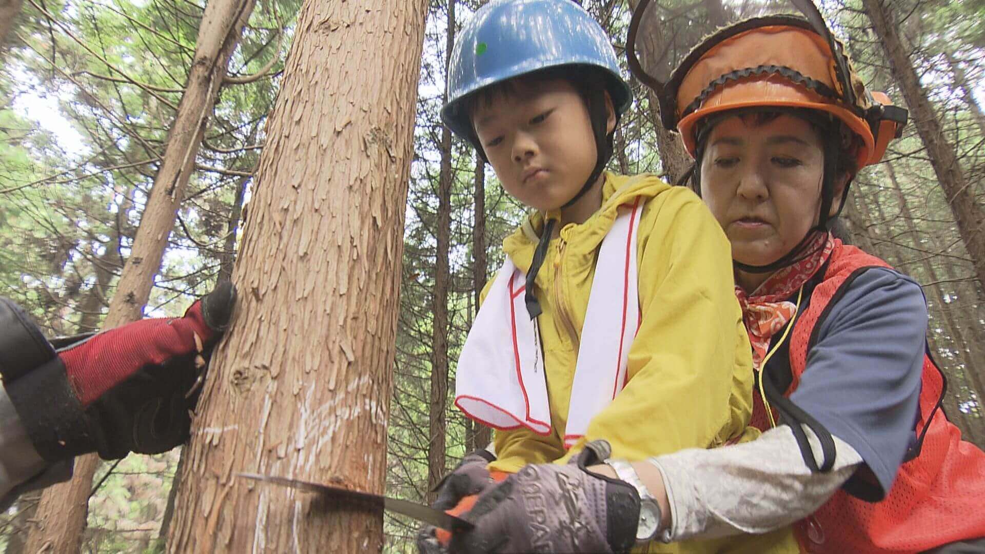 【広島市森林公園】自然の大切さを学ぶ「森の学校」｜地球派宣言