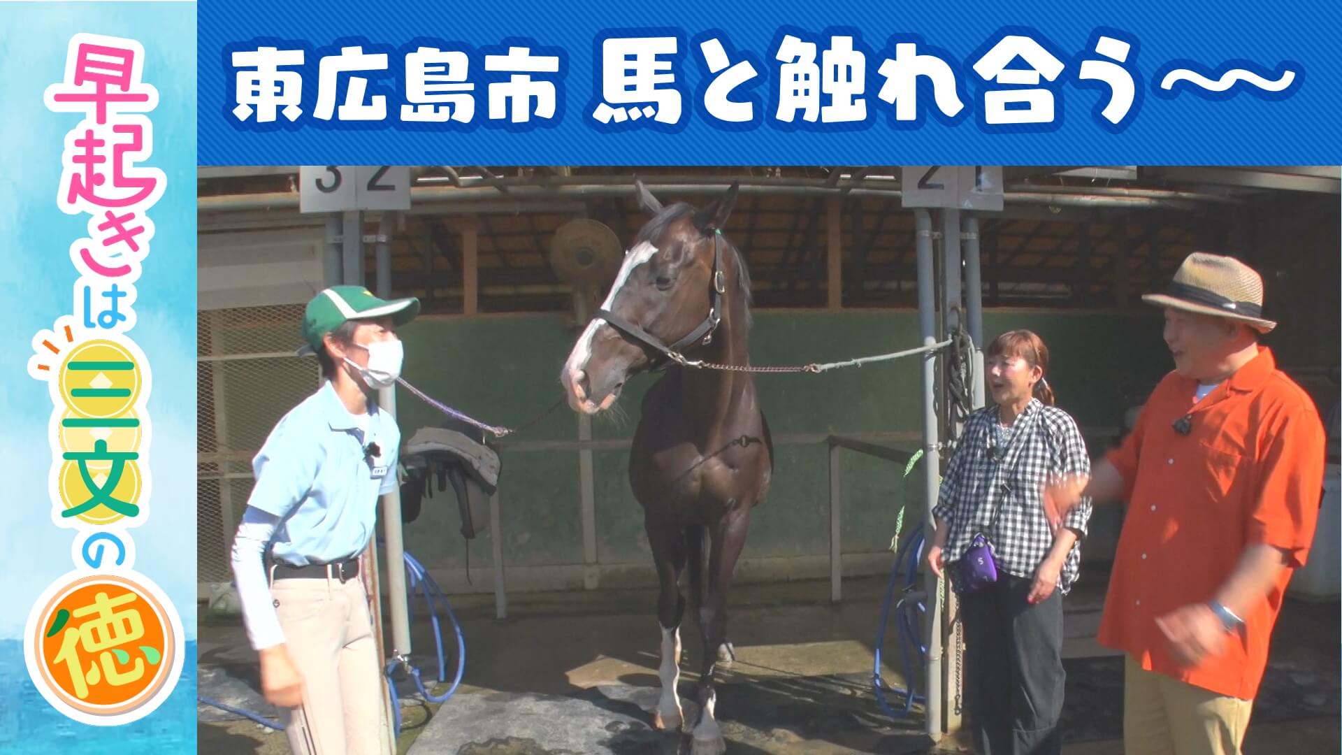 #18　“健康乗馬”って？＠東広島市①